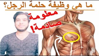 لماذا الرجل هذه المنطقة لديه حلمتان؟ هل تعلم ما هي وظيفة حـلـمـه الرجل؟ شرح جسم الانسان معلومات عامة