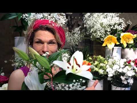 Video: Eukomis - Lilie Mit Büschel