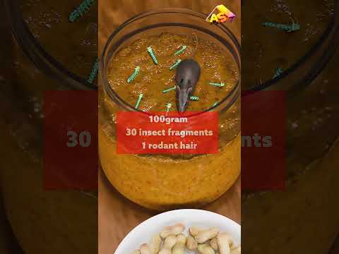 🐛Insects approved Vegetarian food😮 reality check !! 3D Animation