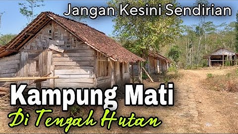 Kampung Mati Dan Terisolir Di Tengah Hutan Kabupaten Temanggung Jawa Tengah