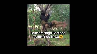 José Aréchiga Gamboa✝️ alias (CHINO ANTRAX) ☣️ #chinoantrax #CARTEL #JGL #calibre50