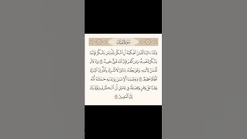 اكتب شيء تؤجر عليه #quran #القرآن_الكريم #سورة_لقمان #ياسر_الدوسري