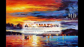 Anlamazsin  Z Peker   Md