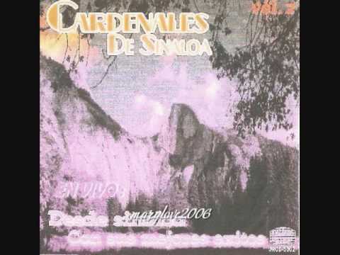 Cardenales de Sinaloa - Dos Botellas de Mezcal