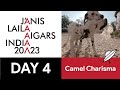 Jnis laila aigars in india 2023 part 1  day 4  sadra  camel charisma