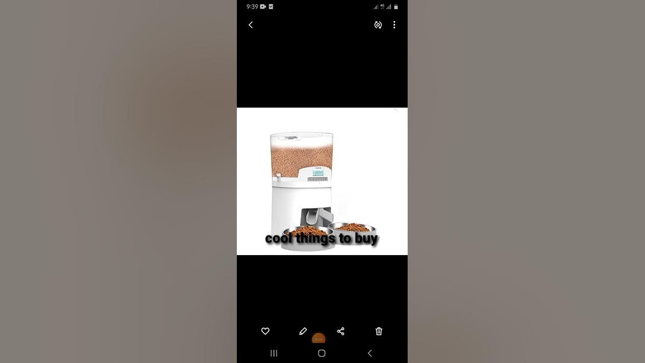 PruPet Well To Be Pet Feeder Best Automatic Cat Feeder Cool Things To