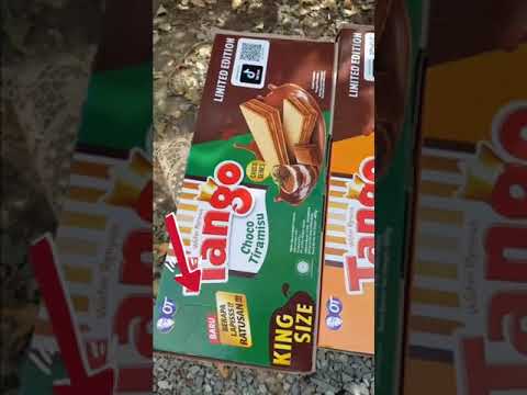 Tanggo King Size pernah viral di Tiktok #shorts