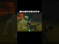 ブラッキーとアブソルと戯れ #newポケモンスナップ #ポケモン