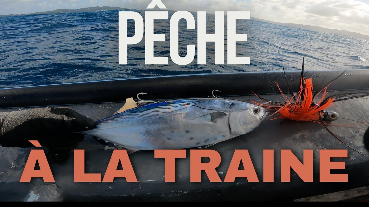 Jupe de pêche à la traîne en plumes, leurre de thon pour gros gibier