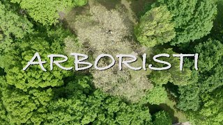 Arboristi