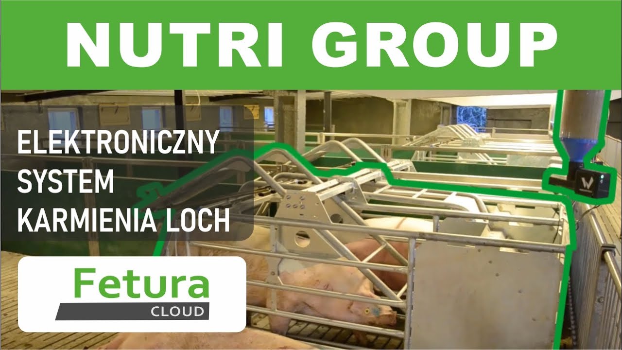 Fetura CLOUD - Nutri GROUP - elektroniczny system karmienia loch na sektorze loch prośnych