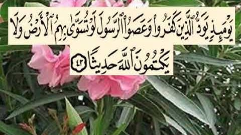 سورة النساء اية ٤٢ جمال القرش