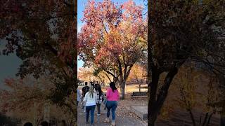 Take a Tour of MSU Denver!  #msudenver