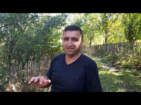 სოფელი   და  მისი   ნობათი