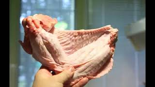 Turkey Wing Reference
