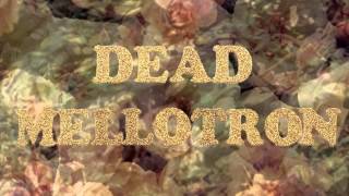 Miniatura de vídeo de "Dead Mellotron - "Can't See""
