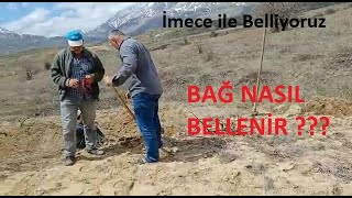 Malatya, Doğanşehir, Fındık Köyü İmece Ile Bağ Belliyor