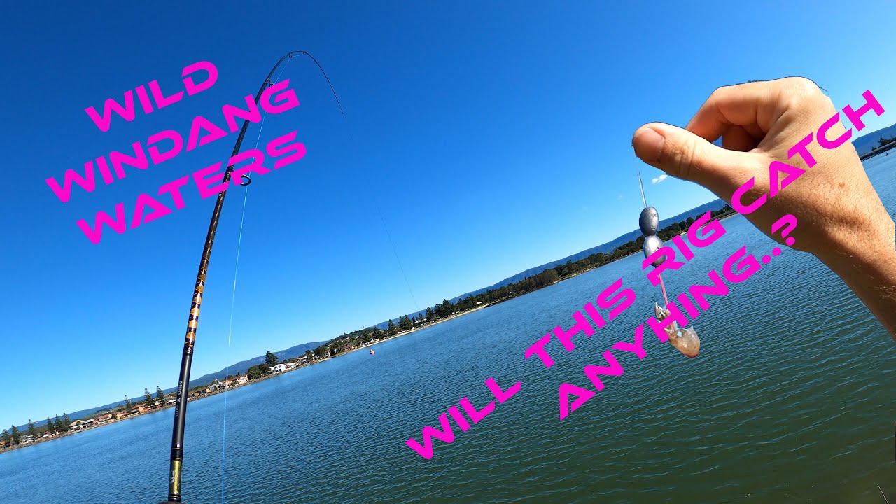 Bait Fishing in Windang waters