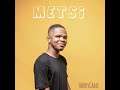 HarryCane Metsi 