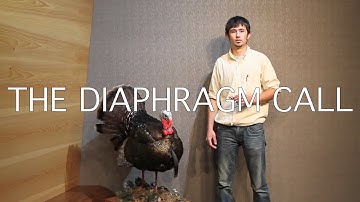 The Diaphragm Call