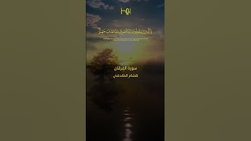 القارئ /هشام المقدشي #قرآن #تلاوات