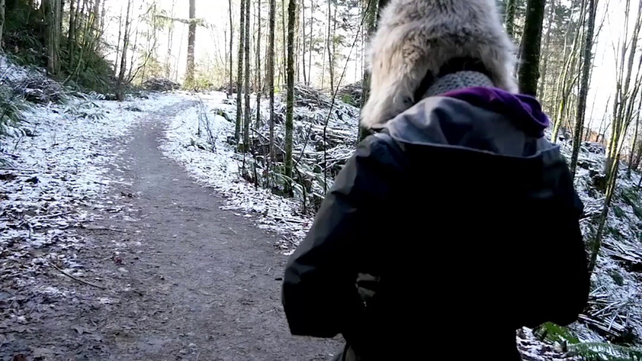 New Year's Day Hike 2017 at Llandover Woods, Seattle