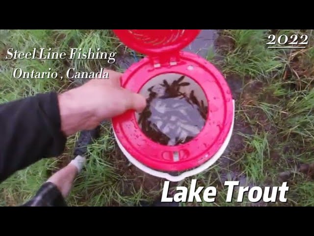 Steel line fishing for Natural Lake Trout in Haliburton Ontario. #subscribe  #ontario 