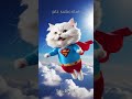 Cat dreams to be superhero #9cutecat #cat #funny #kitten #cute #shorts #funnycats #story #cutecat