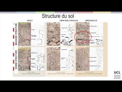 Vidéo: Qu'est-ce que la porosité du sol : comment obtenir un sol poreux dans le jardin