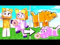 Boxy & Foxy TRANSFORM Into MAGICAL WOLVES In MINECRAFT! (LankyBox Minecraft Movie)