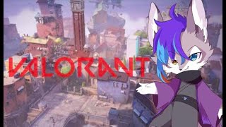 【VALORANT】フレンドとのんびり