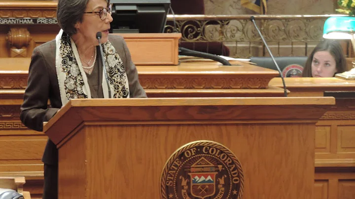Senate Minority Leader Lucia Guzman's 2017 Opening...