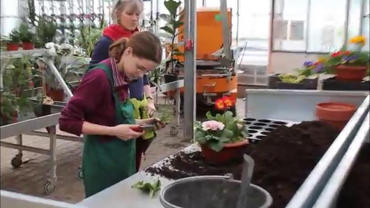 CJDBundeswettbewerb der Gärtner und Gartenbauwerker in Gera YouTube