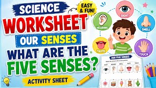 Science Worksheet Our Five Senses Worksheet What Are the Five Senses Activity Sheet for Kids
