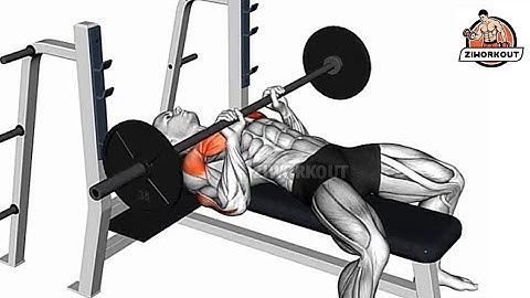 How to Do Barbell Close Grip Press | Triceps Exercise!