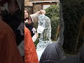Stunning Ice Sculptures at York Ice Trail 2023 ❄️ | Incredible Ice Art & Carvings