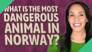 What is the most dangerous animal in Norway?