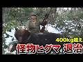 【閲覧注意】400kg越えの怪物ヒグマ、実猟の世界