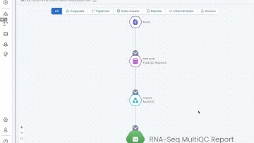 Visualized Data Provenance in Code Ocean