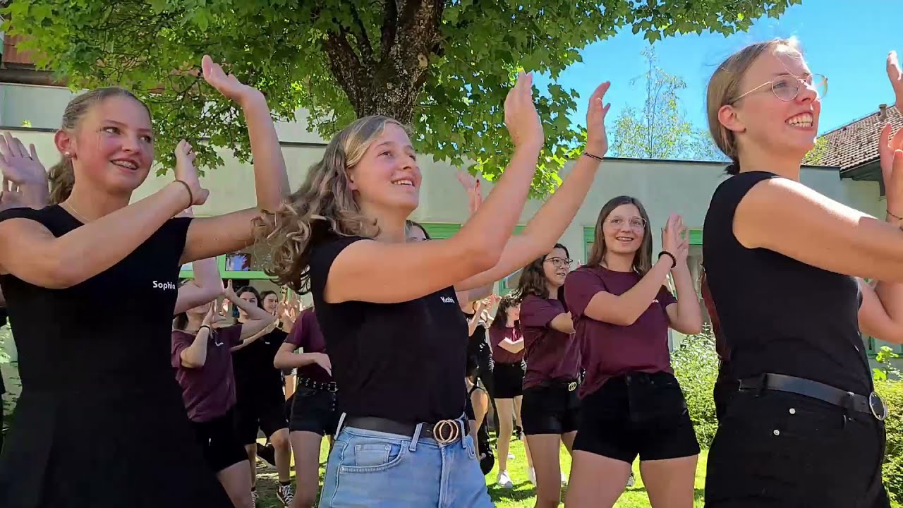 Shakira - Waka Waka (Tanz der 4b & 4c der MMS Neufelden)