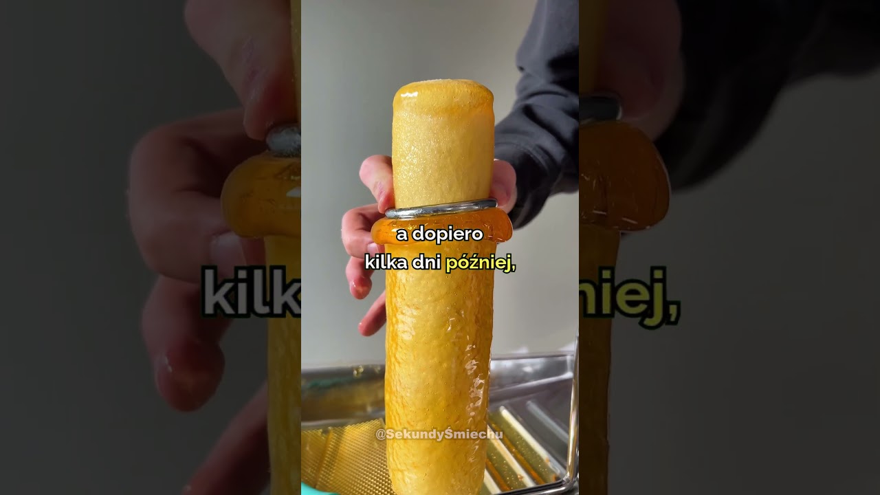 Delikatne przekazywanie złych wiadomości 🐱😂 #śmiech #śmieszne #żarty #satisfying #storytime