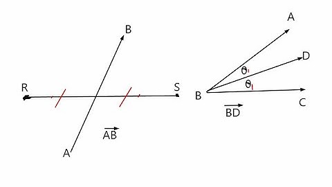 Angle & Segment Bisectors/Midpoint