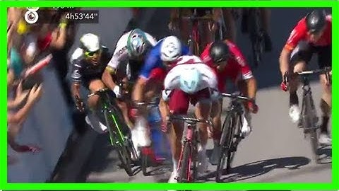 Peter sagan ends dispute with uci over tour de france disqualification