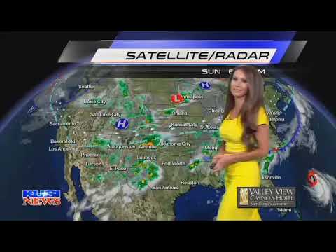 sabrina fein kusi