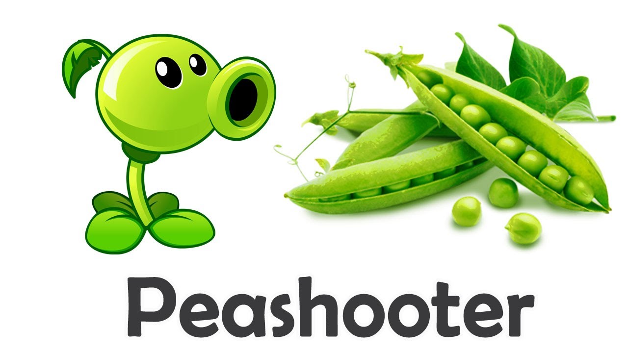 Plants Vs Zombies Plants In Real Life (pvz) YouTube