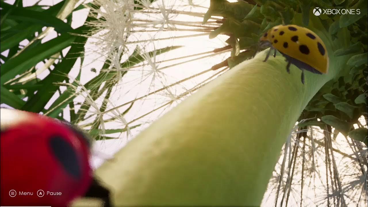 INSECTS XBOX ONE S GAMEPLAY! YouTube