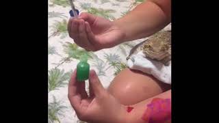 How to give a Bearded Dragon medication