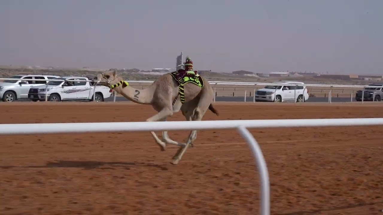 الشوط الحادي عشر حقايق بكار(تحرير) للمالك/عبدالرحمن سلمان المغيري