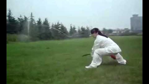 Song Style Xingyi Dao (宋氏形意刀), Li Yujie (李雨洁)