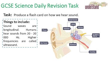 GCSE Science Daily Revision Task 100:  The Ear